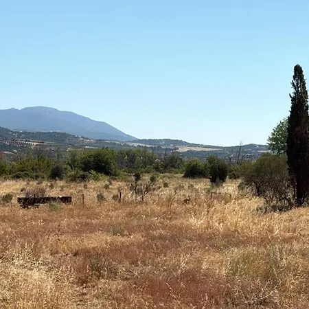 مكان تخييم Private Parking For Cars, Vans, Campers, Bus, Rv, Trailer & Caravan With Easy Access To Expressway & Main Road - Quiet Location With Mountain Views, Near The Beach, With 2 Lose Guard Dogs, No Water Or Electric, No Shower Or Toilet - Self Check-in *